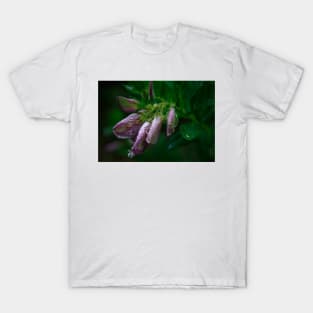 Purple broom T-Shirt